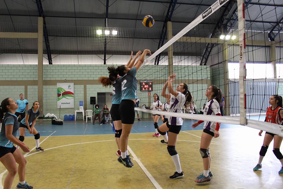 imagem sem descrição.